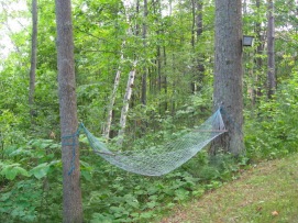 hammock-in-the-forest